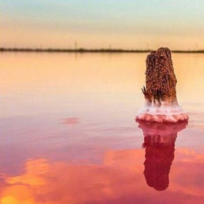 奔驰宝马游戏下载