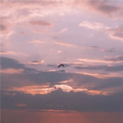 鸭脖app下载下载手机版