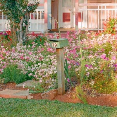 澳门风云电玩城安卓版特色