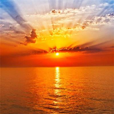 鸭脖app下载下载手机版